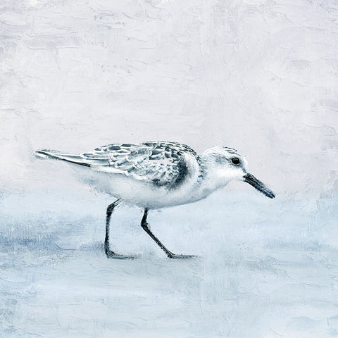 Sandpiper 1 White Modern Wood Framed Art Print with Double Matting by Allen, Kimberly