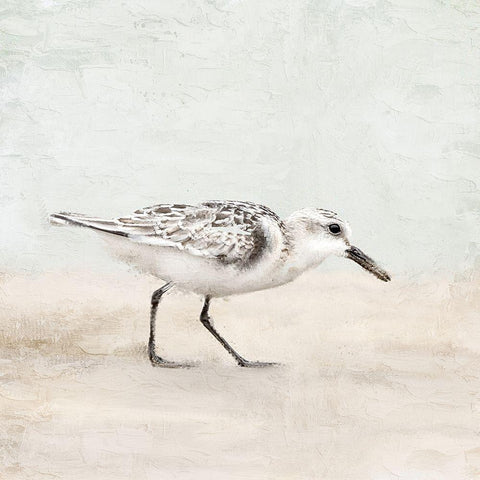 Sandpiper 1 Black Modern Wood Framed Art Print with Double Matting by Allen, Kimberly