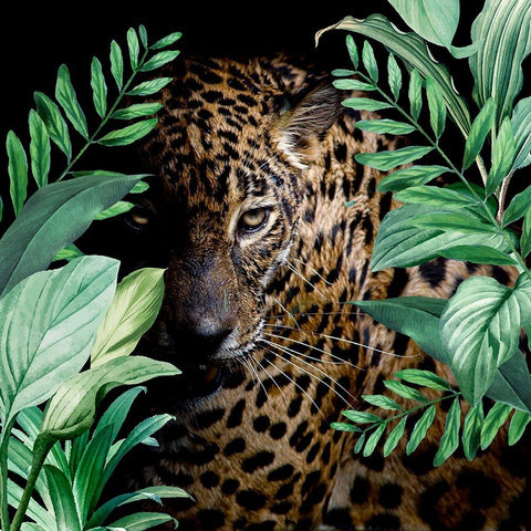 Jungle Leopard Gold Ornate Wood Framed Art Print with Double Matting by Allen, Kimberly