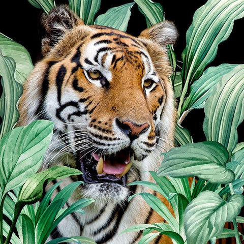 Jungle Tiger Gold Ornate Wood Framed Art Print with Double Matting by Allen, Kimberly