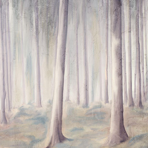 Forest Dreams 1 Black Modern Wood Framed Art Print with Double Matting by Allen, Kimberly
