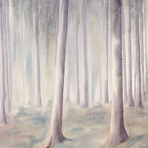 Forest Dreams 1 White Modern Wood Framed Art Print with Double Matting by Allen, Kimberly