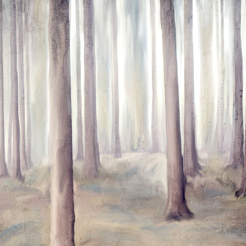 Forest Dreams 2 Black Ornate Wood Framed Art Print with Double Matting by Allen, Kimberly