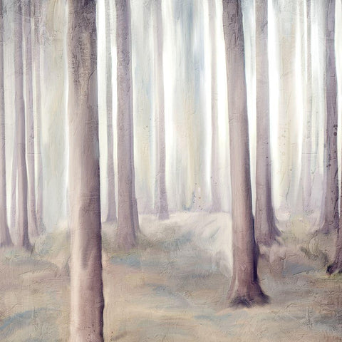 Forest Dreams 2 Black Modern Wood Framed Art Print with Double Matting by Allen, Kimberly
