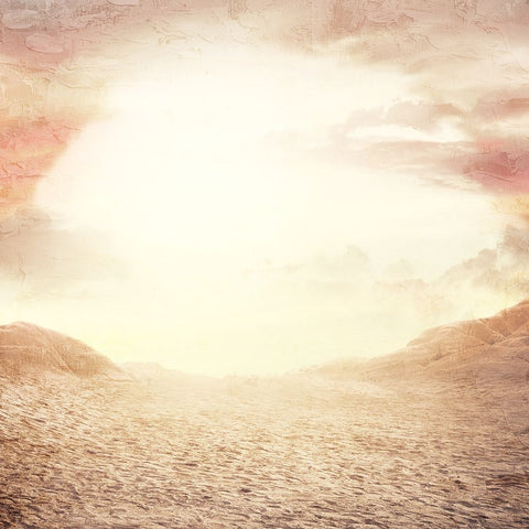 Desert Sunset Black Ornate Wood Framed Art Print with Double Matting by Allen, Kimberly