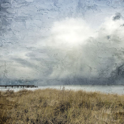 Moody Beach Day Black Ornate Wood Framed Art Print with Double Matting by Allen, Kimberly