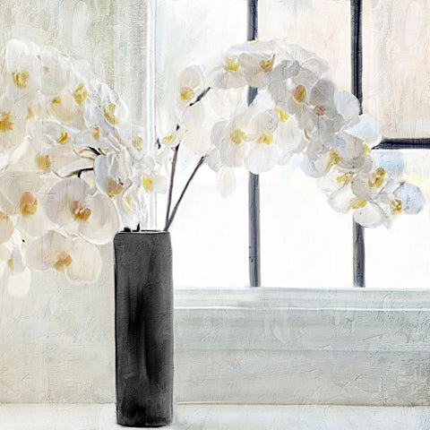 Orchid Window Black Ornate Wood Framed Art Print with Double Matting by Allen, Kimberly