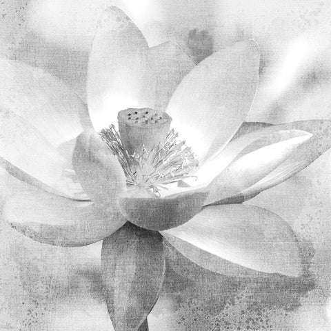 Lotus Gold Ornate Wood Framed Art Print with Double Matting by Allen, Kimberly