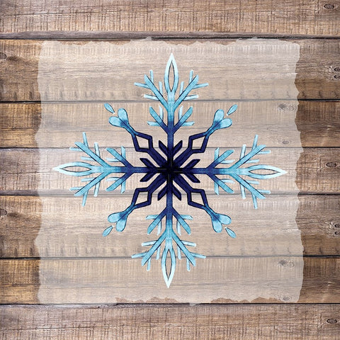 Snowflake Woods 1 Black Ornate Wood Framed Art Print with Double Matting by Allen, Kimberly