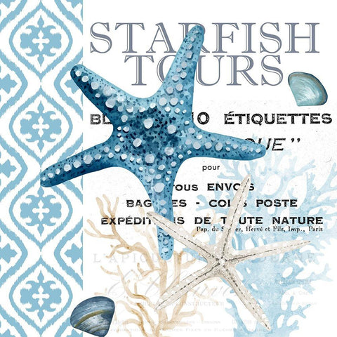 Starfish Tours Black Modern Wood Framed Art Print by Allen, Kimberly