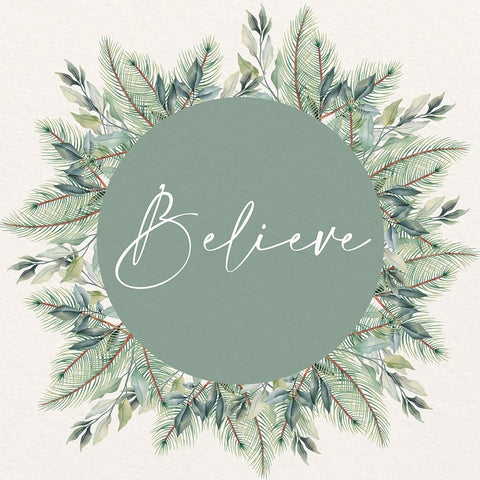 Christmas Greens 4 Black Ornate Wood Framed Art Print with Double Matting by Allen, Kimberly