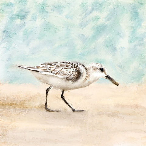 Sandpiper Walk 1 White Modern Wood Framed Art Print with Double Matting by Allen, Kimberly
