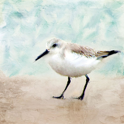 Sandpiper Walk 2 Black Ornate Wood Framed Art Print with Double Matting by Allen, Kimberly