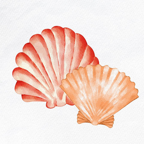 Scallop Shells 2 Black Ornate Wood Framed Art Print with Double Matting by Allen, Kimberly