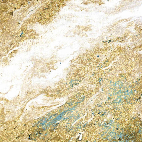 Golden Dust Black Modern Wood Framed Art Print with Double Matting by Allen, Kimberly