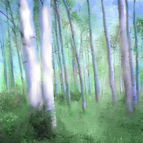 Aspen Grove Black Ornate Wood Framed Art Print with Double Matting by Allen, Kimberly