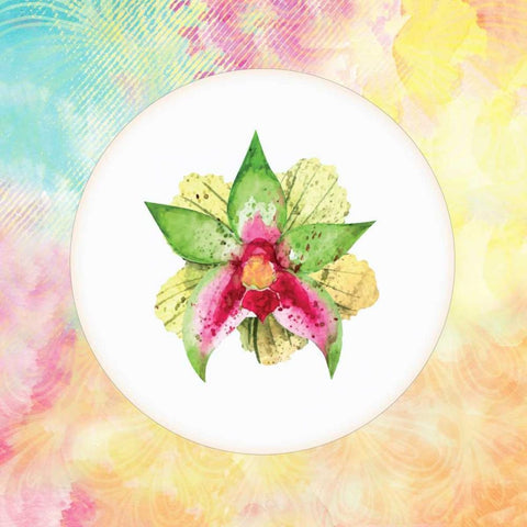 Tropical Floral Square 2 White Modern Wood Framed Art Print with Double Matting by Allen, Kimberly