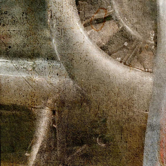 Image Only