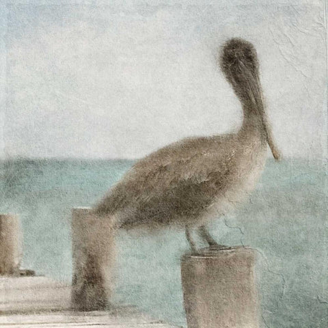 Pier Time Black Modern Wood Framed Art Print with Double Matting by Allen, Kimberly