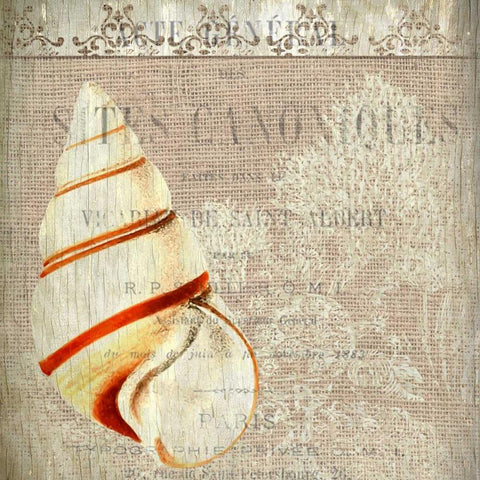 Coastal Dreams 1 White Modern Wood Framed Art Print by Allen, Kimberly