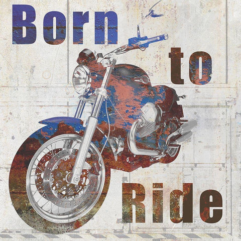 Born to Ride White Modern Wood Framed Art Print by Kimberly, Allen