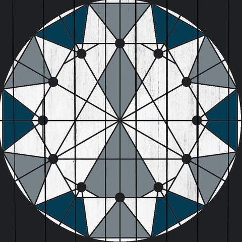 Country Star 2 Black Ornate Wood Framed Art Print with Double Matting by Kimberly, Allen