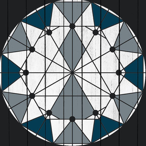 Country Star 2 Black Modern Wood Framed Art Print by Kimberly, Allen