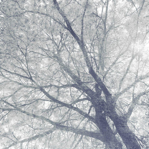 Towards The Sky Black Modern Wood Framed Art Print by Kimberly, Allen