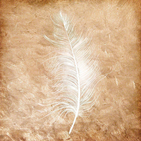 Copper Feathered 1 White Modern Wood Framed Art Print with Double Matting by Kimberly, Allen