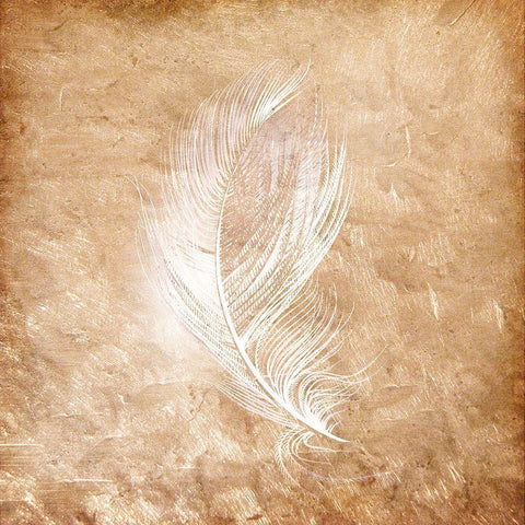 Copper Feathered 2 White Modern Wood Framed Art Print by Kimberly, Allen