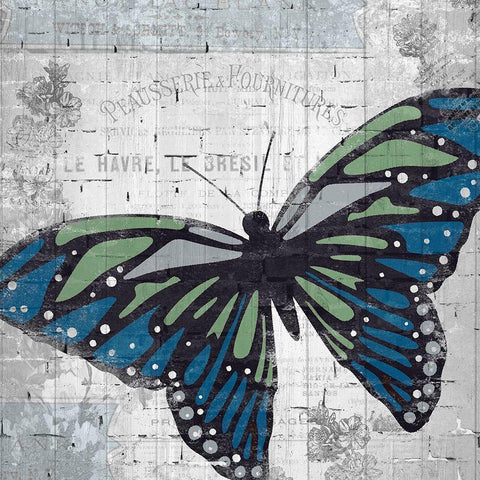 Vintage Butterfly 1 White Modern Wood Framed Art Print with Double Matting by Kimberly, Allen