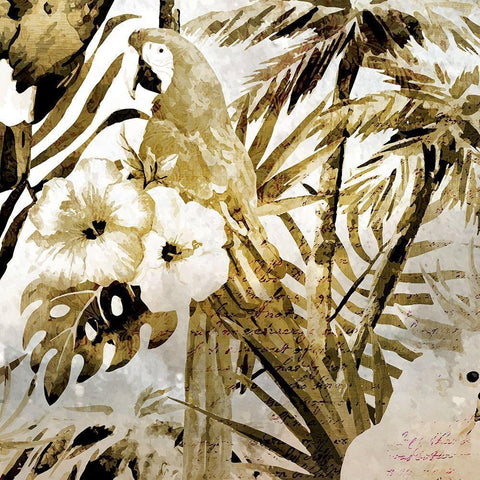 Birds of Paradise 2 Black Ornate Wood Framed Art Print with Double Matting by Kimberly, Allen