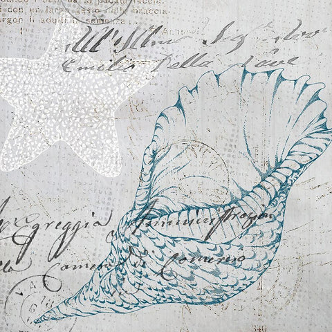 Vintage Shells 1 Black Ornate Wood Framed Art Print with Double Matting by Kimberly, Allen