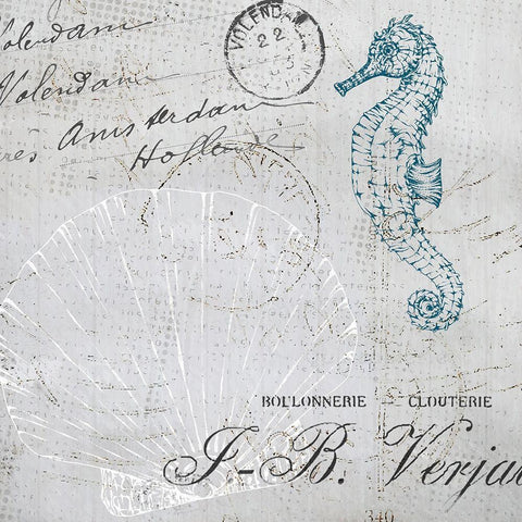 Vintage Shells 2 White Modern Wood Framed Art Print with Double Matting by Kimberly, Allen