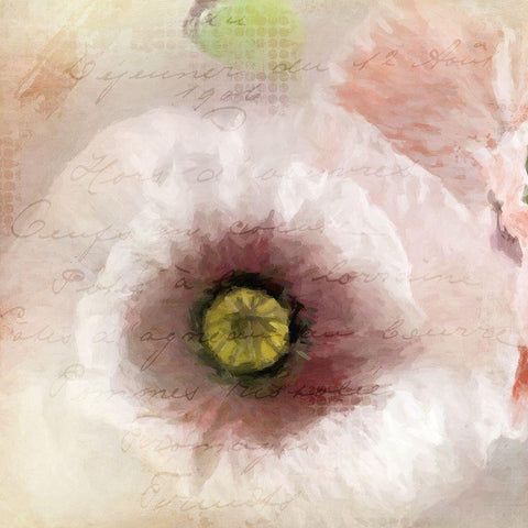 Poppy 1 Black Ornate Wood Framed Art Print with Double Matting by Allen, Kimberly