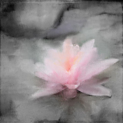 On the Lilly Pad White Modern Wood Framed Art Print with Double Matting by Kimberly, Allen