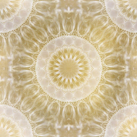 Metallic Medallion Gold Ornate Wood Framed Art Print with Double Matting by Kimberly, Allen