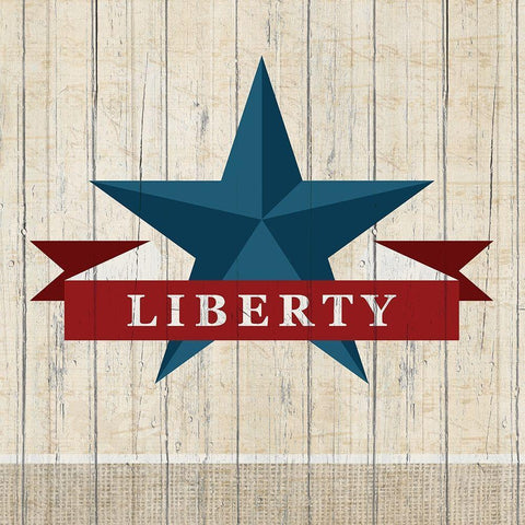 Liberty 1 White Modern Wood Framed Art Print with Double Matting by Kimberly, Allen