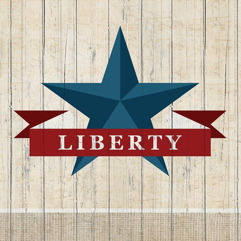 Liberty 1 Black Modern Wood Framed Art Print with Double Matting by Kimberly, Allen