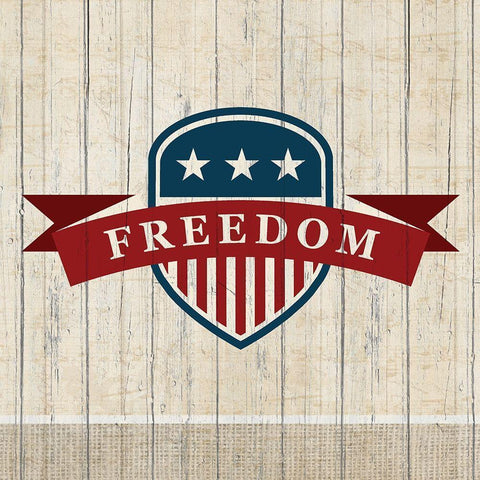 Liberty 3 White Modern Wood Framed Art Print by Kimberly, Allen