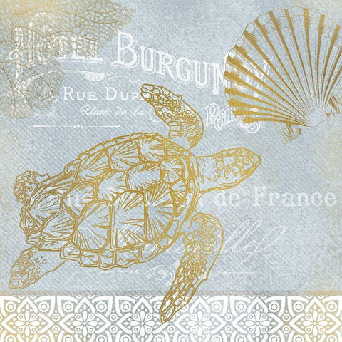 Azure Coastal Calm 3 Gold Ornate Wood Framed Art Print with Double Matting by Kimberly, Allen
