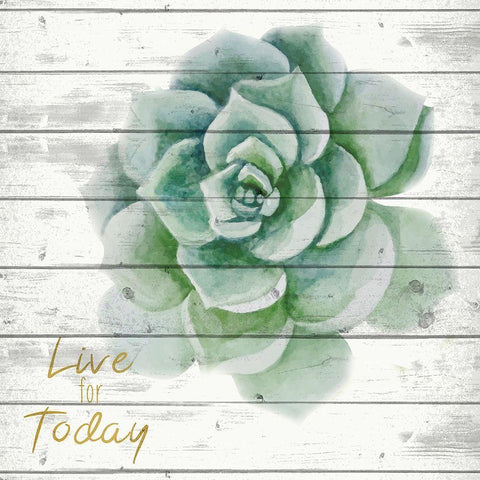 Live for Today 1 White Modern Wood Framed Art Print with Double Matting by Kimberly, Allen