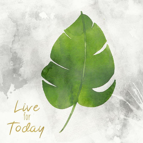 Today is my Day 2 White Modern Wood Framed Art Print by Kimberly, Allen