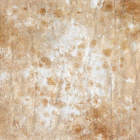 In the Cosmos Gold Ornate Wood Framed Art Print with Double Matting by Kimberly, Allen