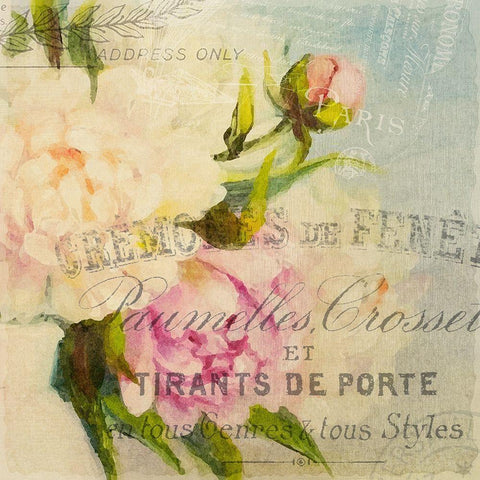 Summer Blooming B Black Modern Wood Framed Art Print with Double Matting by Kimberly, Allen