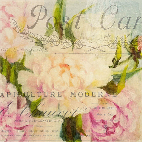 Summer Blooming C Gold Ornate Wood Framed Art Print with Double Matting by Kimberly, Allen