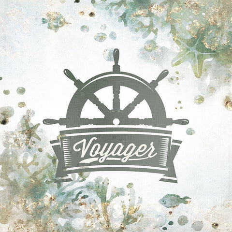 Voyager 1 Black Modern Wood Framed Art Print with Double Matting by Kimberly, Allen