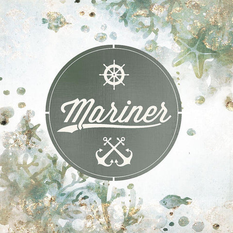 Voyager 3 Black Ornate Wood Framed Art Print with Double Matting by Kimberly, Allen