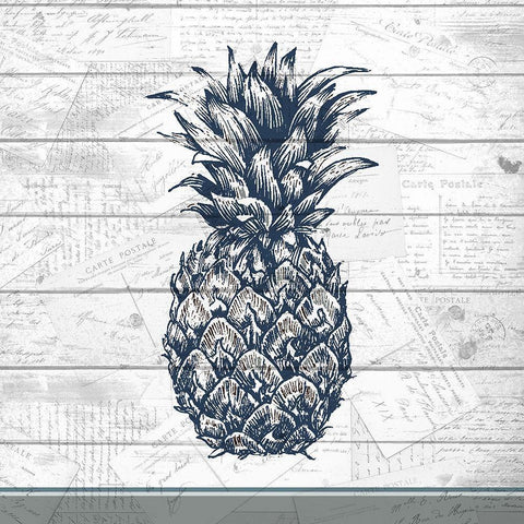 Country Pineapple 1 Black Modern Wood Framed Art Print with Double Matting by Kimberly, Allen