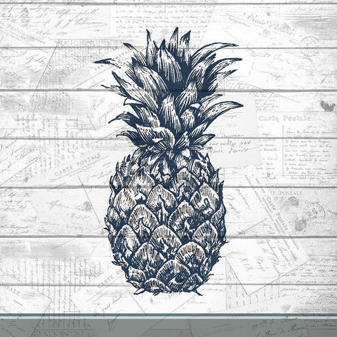 Country Pineapple 1 White Modern Wood Framed Art Print with Double Matting by Kimberly, Allen